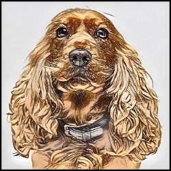 Picture of Cocker Spaniel-Penciled In Mug