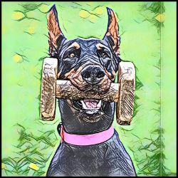Picture of Doberman cropped-Penciled In Mug