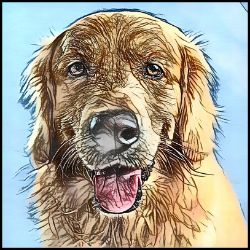 Picture of Golden Retriever-Penciled In Mug