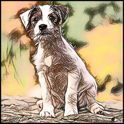 Picture of Parson Russell Terrier-Penciled In Mug