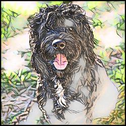 Picture of Portuguese Water Dog-Penciled In Mug