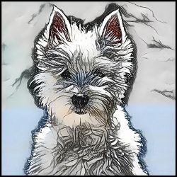 Picture of West Highland Terrier-Penciled In Mug