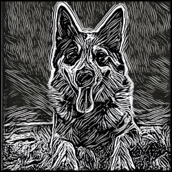 Picture of Australian Cattle Dog-Licorice Lines Mug