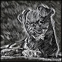 Picture of Brussels Griffon-Licorice Lines Mug