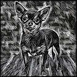 Picture of Chihuahua Smooth Coat-Licorice Lines Mug
