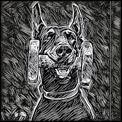 Picture of Doberman cropped-Licorice Lines Mug