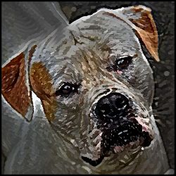 Picture of American Bulldog-Lord Lil Bit Mug