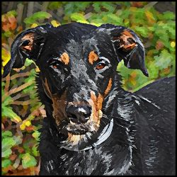 Picture of Beauceron-Lord Lil Bit Mug