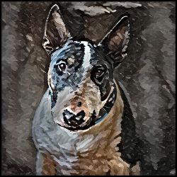 Picture of English Bull Terrier-Lord Lil Bit Mug