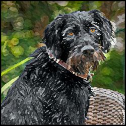 Picture of German Wirehaired Pointer-Lord Lil Bit Mug