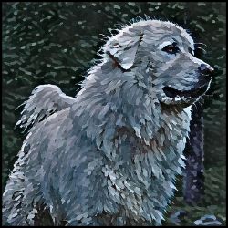 Picture of Great Pyrenees-Lord Lil Bit Mug