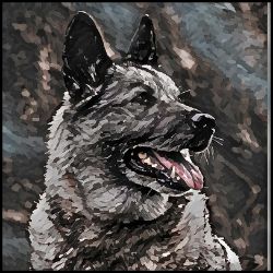 Picture of Norwegian Elkhound-Lord Lil Bit Mug