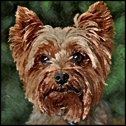 Picture of Yorkshire Terrier-Lord Lil Bit Mug