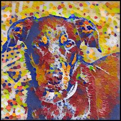 Picture of Beauceron-Party Confetti Mug
