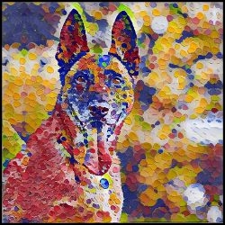 Picture of Belgian Malinois-Party Confetti Mug