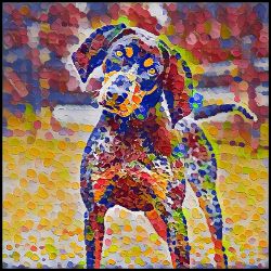 Picture of Bluetick Coonhound-Party Confetti Mug