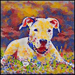 Picture of Dogo Argentino-Party Confetti Mug