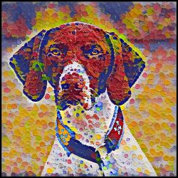 Picture of German Shorthaired Pointer-Party Confetti Mug
