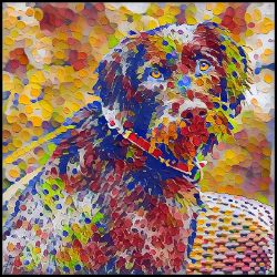 Picture of German Wirehaired Pointer-Party Confetti Mug