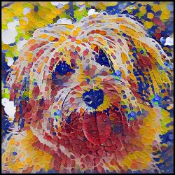 Picture of Havanese-Party Confetti Mug
