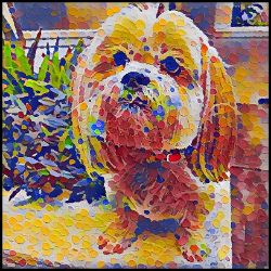 Picture of Lhasa Apso-Party Confetti Mug