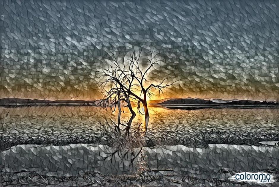 chilly pic of tree sunrise